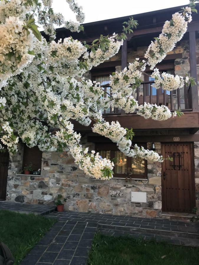 Villa Casa Rural Magdalena à Espinareda de Vega Extérieur photo